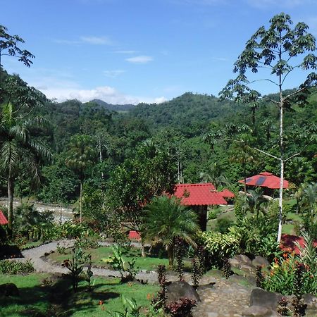 Pacuare River Lodge Bajo Tigre Eksteriør billede