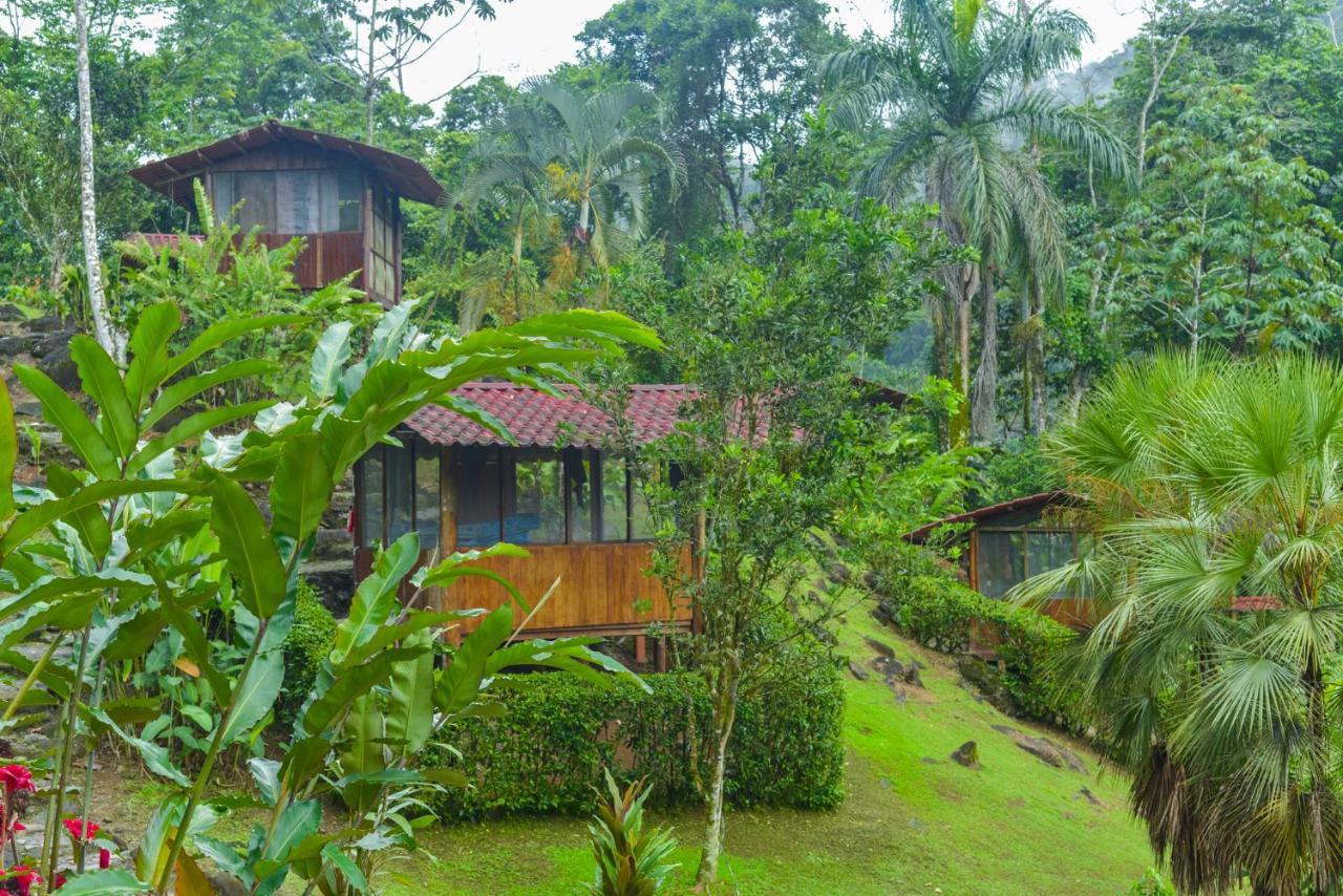 Pacuare River Lodge Bajo Tigre Eksteriør billede