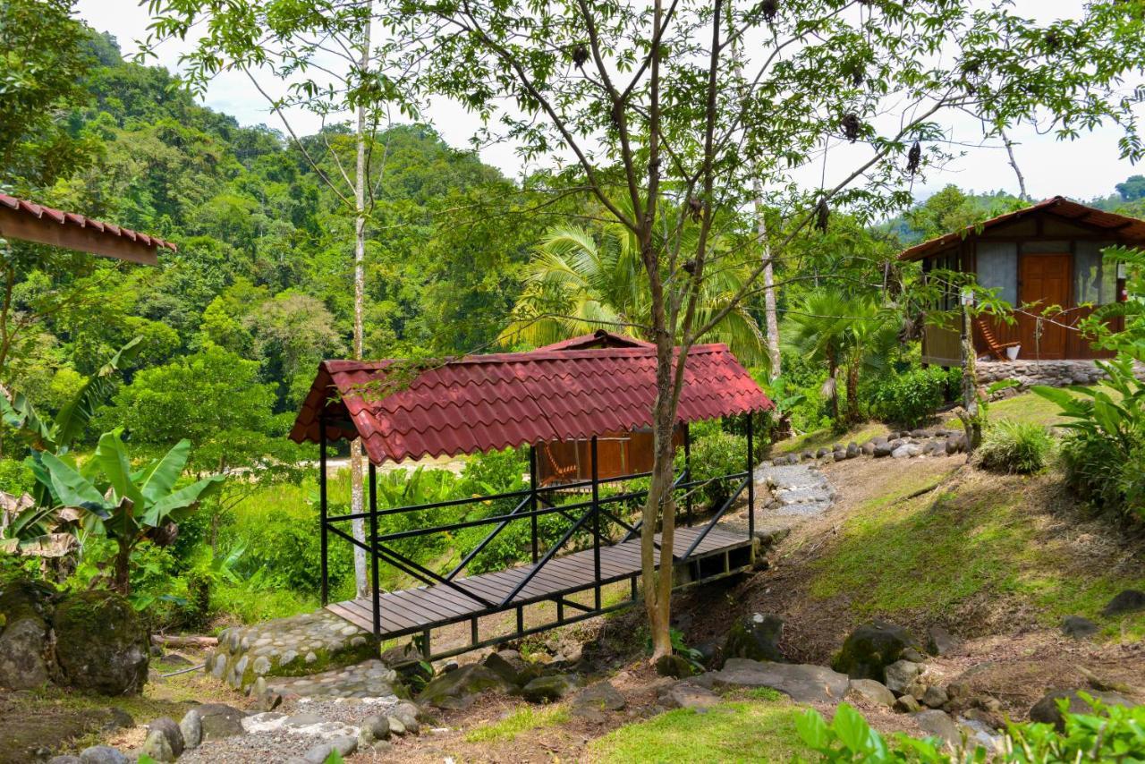 Pacuare River Lodge Bajo Tigre Eksteriør billede