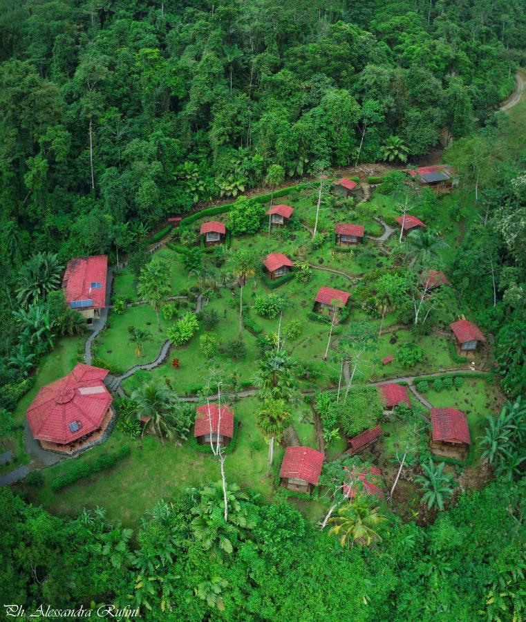 Pacuare River Lodge Bajo Tigre Eksteriør billede