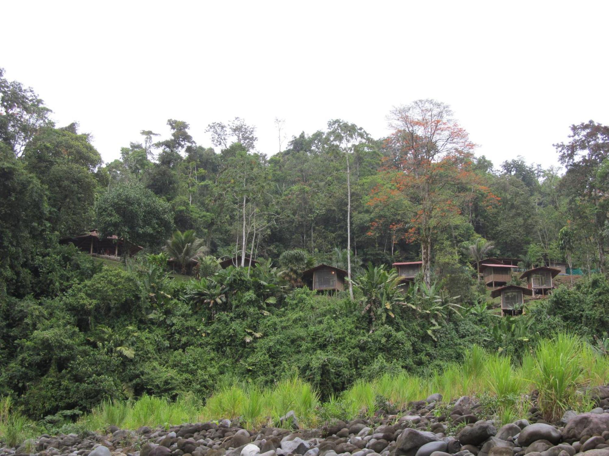 Pacuare River Lodge Bajo Tigre Eksteriør billede