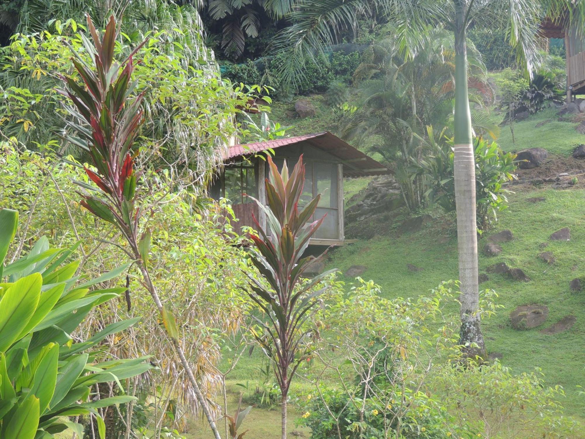 Pacuare River Lodge Bajo Tigre Eksteriør billede