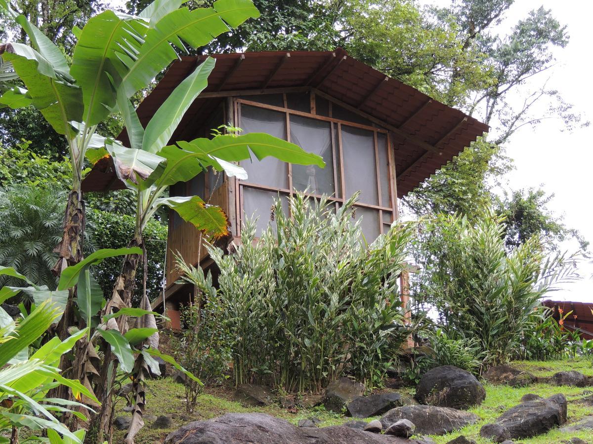 Pacuare River Lodge Bajo Tigre Eksteriør billede