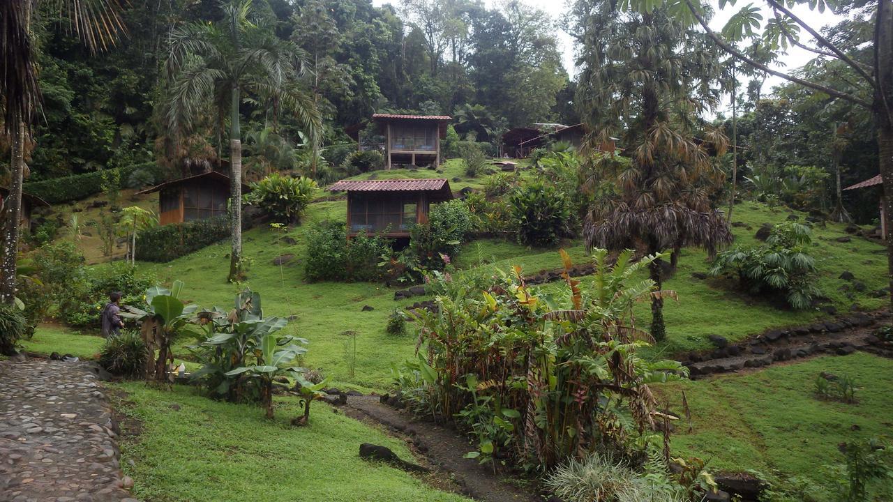Pacuare River Lodge Bajo Tigre Eksteriør billede