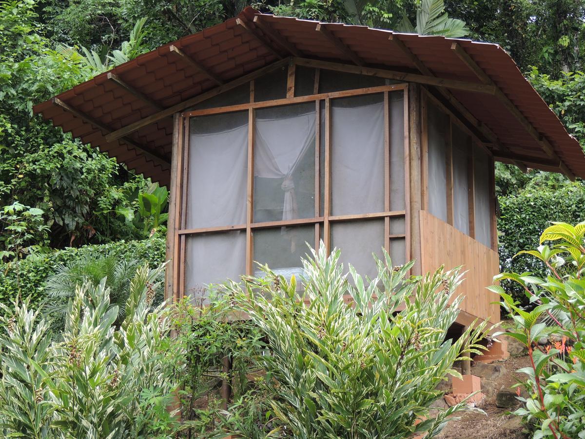 Pacuare River Lodge Bajo Tigre Eksteriør billede