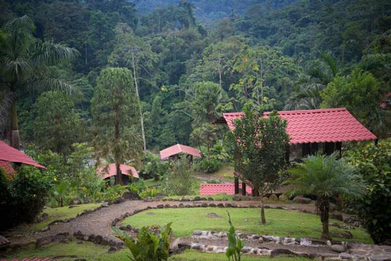 Pacuare River Lodge Bajo Tigre Eksteriør billede