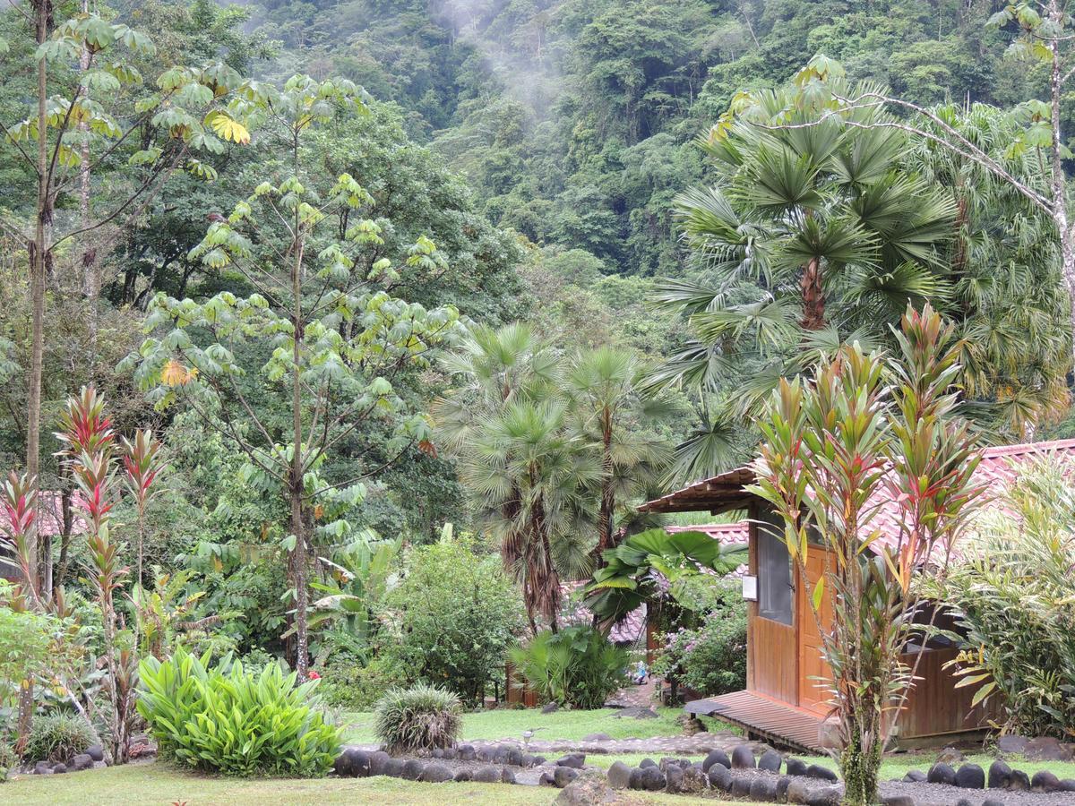 Pacuare River Lodge Bajo Tigre Eksteriør billede