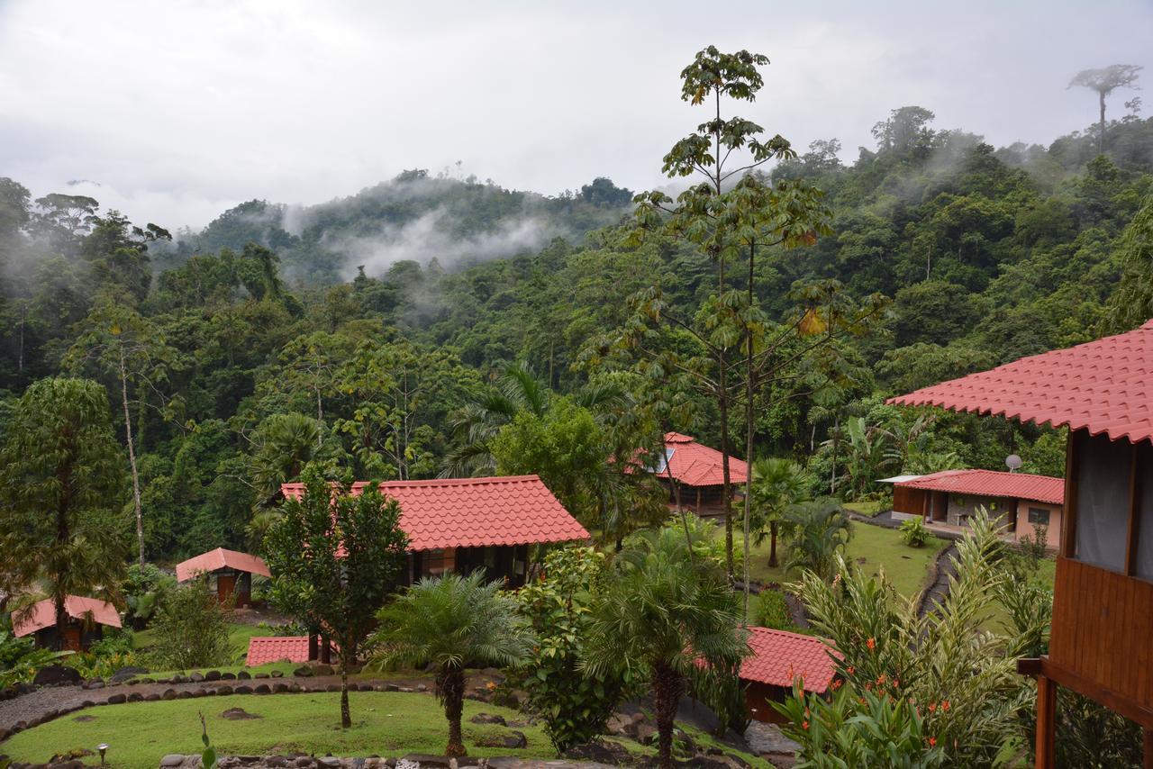 Pacuare River Lodge Bajo Tigre Eksteriør billede
