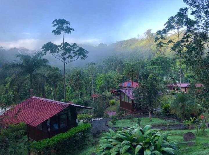 Pacuare River Lodge Bajo Tigre Eksteriør billede